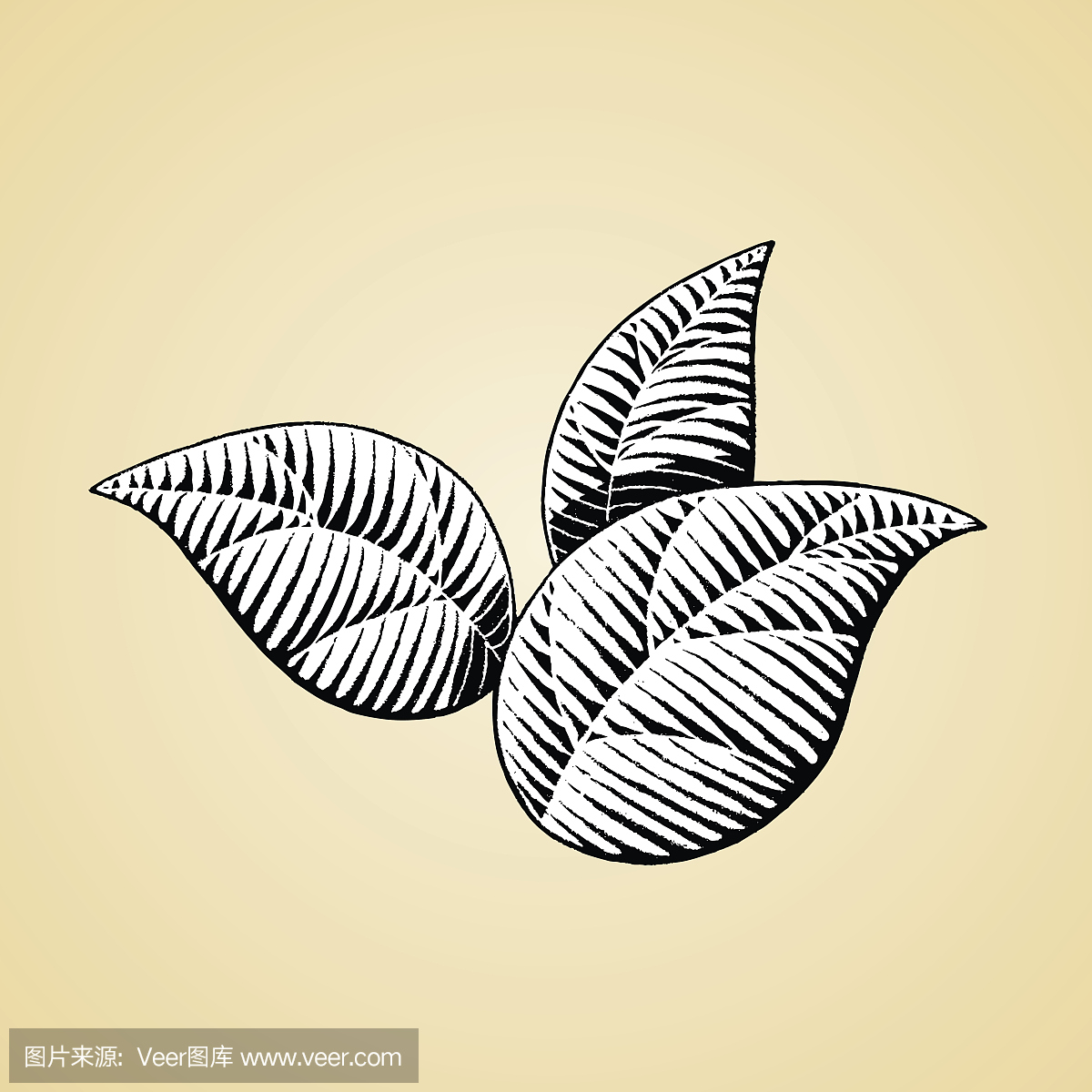 烟草,烟草制品,烟叶,烟丝