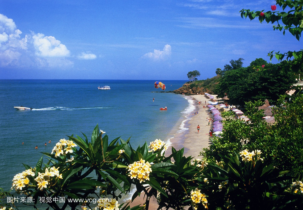 泰国,芭堤雅,亚洲酒店海滩,前景鲜花