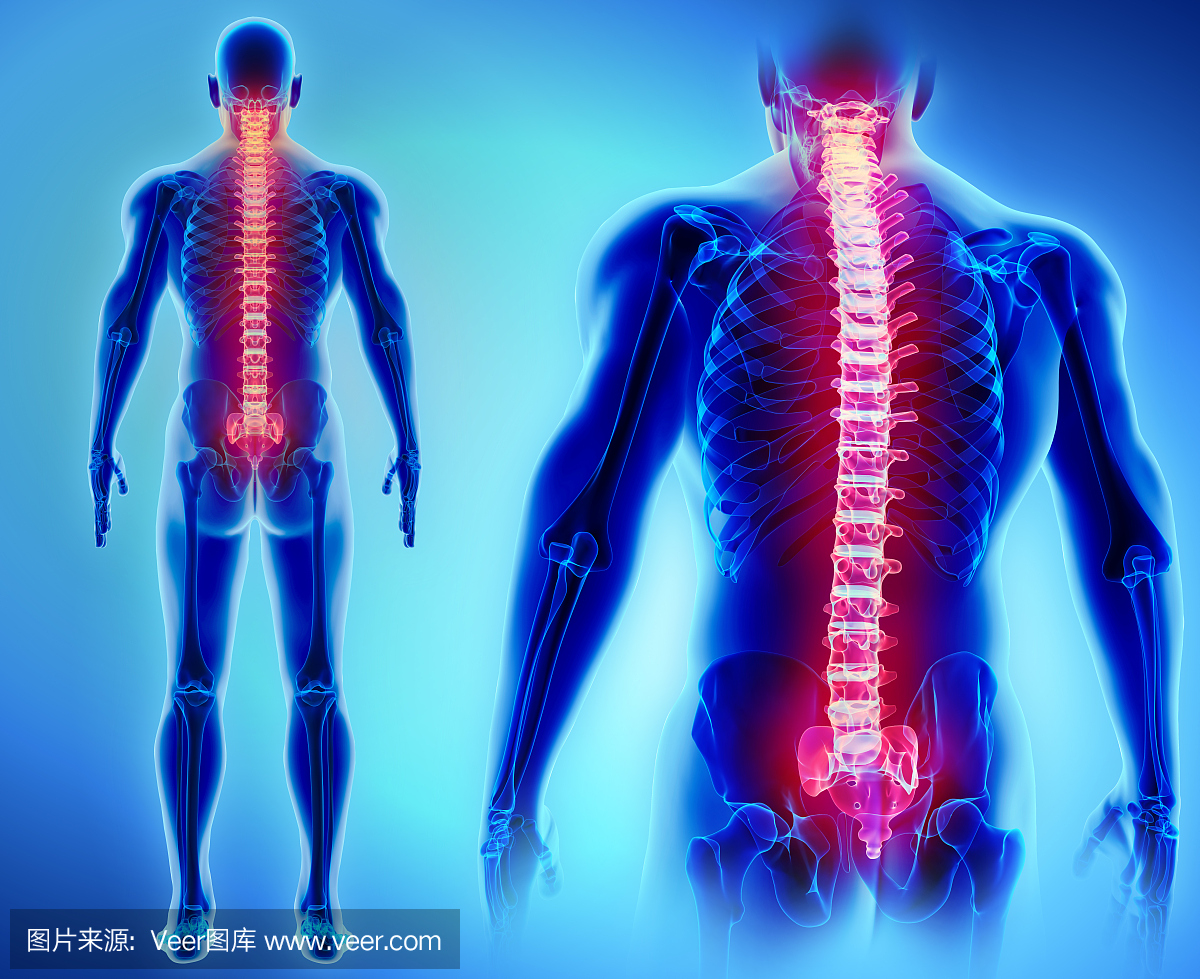 脊椎,医疗概念的3d插图。
