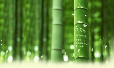 14寸笔记本电脑壁纸