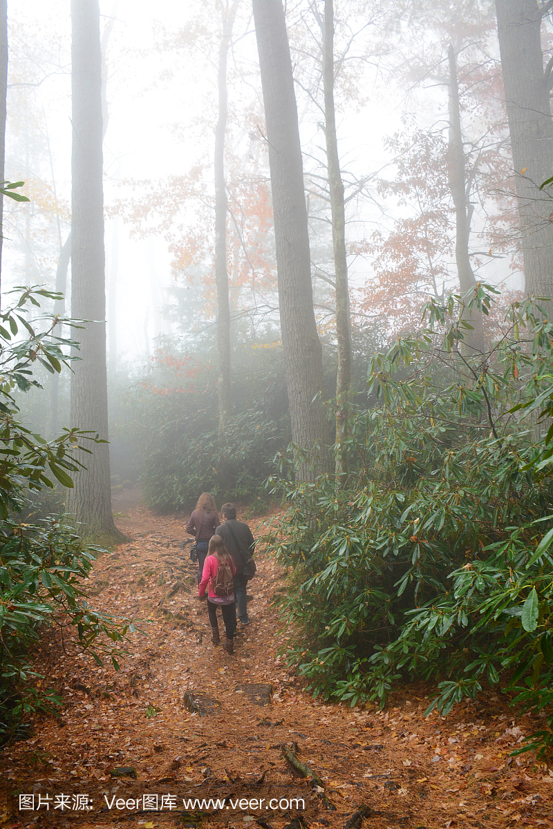 家庭远足旅行在有雾的森林。