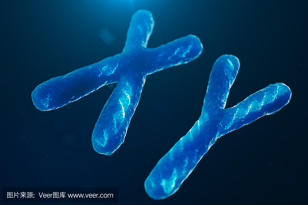 螺旋,显微镜,克隆,英文字母Y