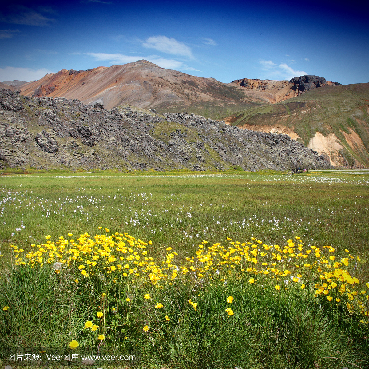 羊胡子草,寇蒂禾,兰德玛纳,兰德玛纳温泉