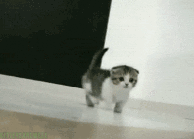 壁纸 动物 狗 狗狗 400_286 gif 动态图 动图