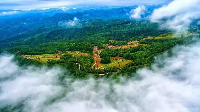 平安国际旅游保险 野三关平安保险