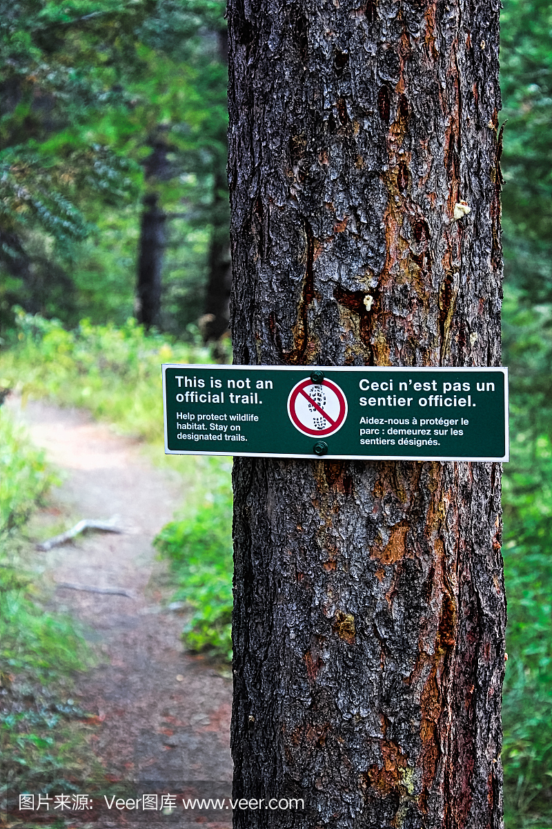 这不是森林里的官方线索标志