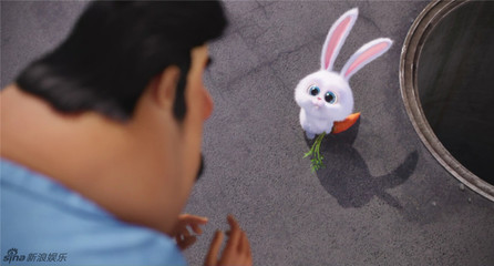 电脑壁纸萌宠大作战