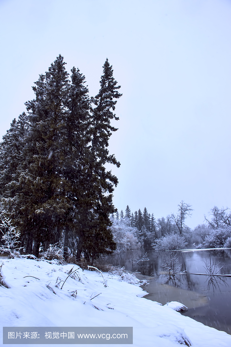 雪,户外,天气,加拿大