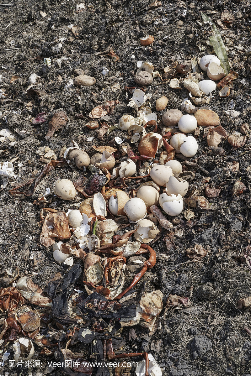 破碎的蛋壳回收为天然有机园艺肥料