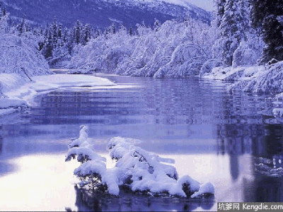 冬天雪景壁纸gif动态图片 - 坑爹网-392kb