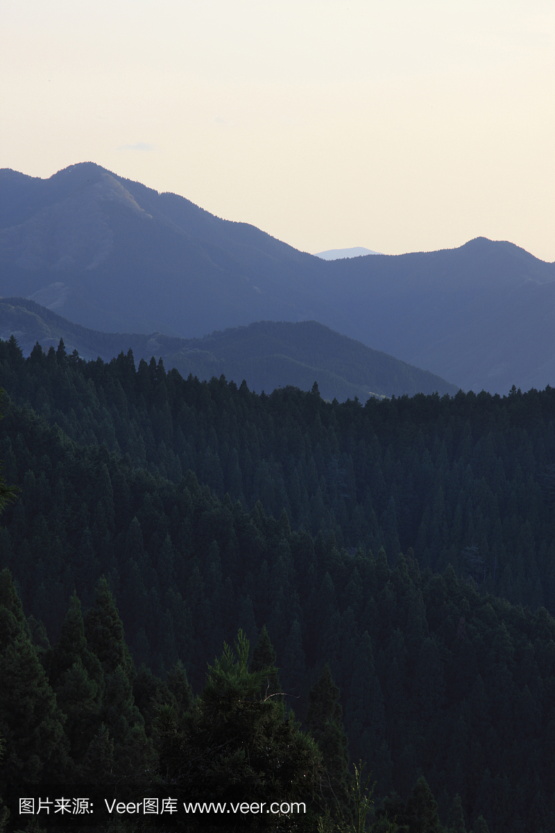 高野山,高野大山,和歌山县,和歌做法石斑鱼羹的山区图片