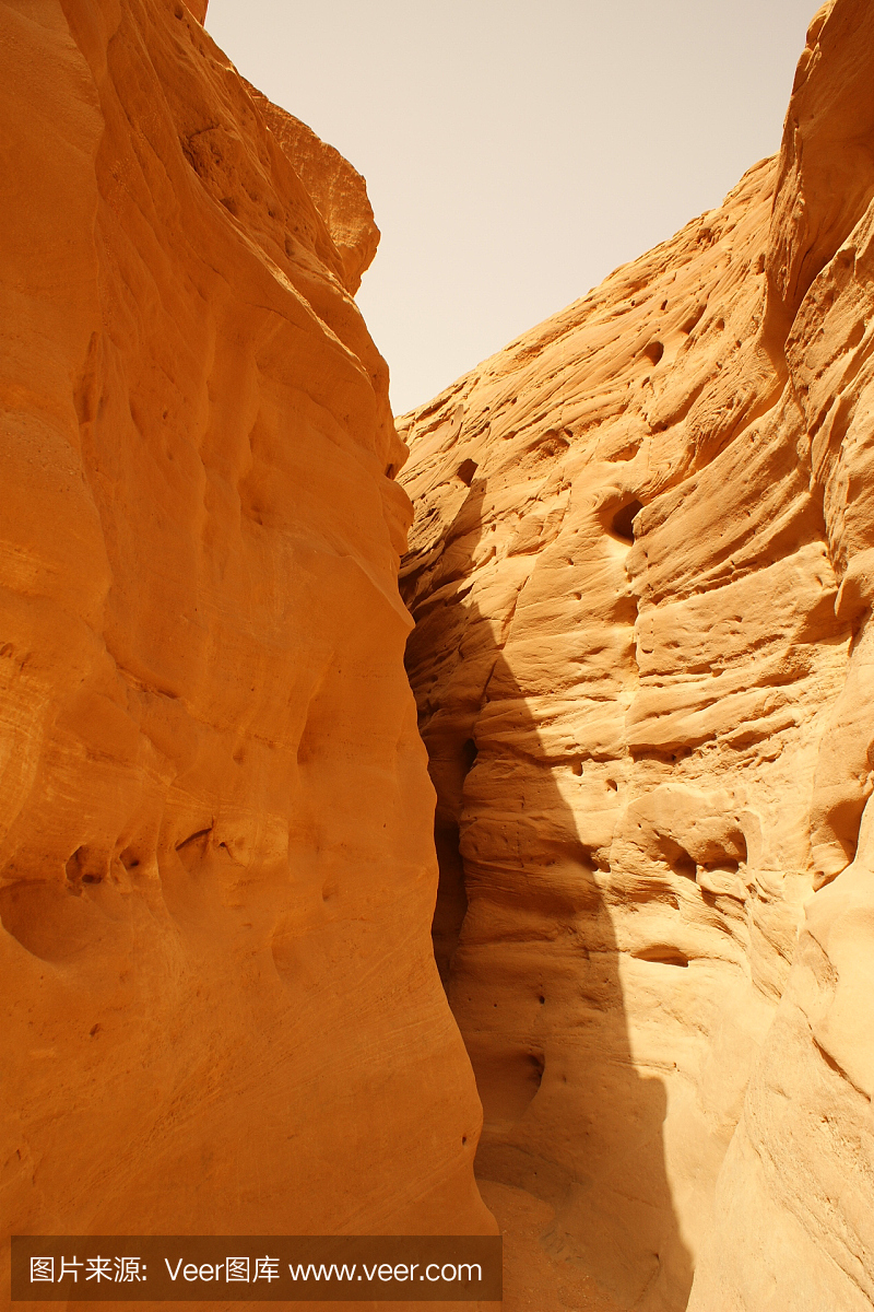 贝多因人,贝多因语,贝多因,西奈