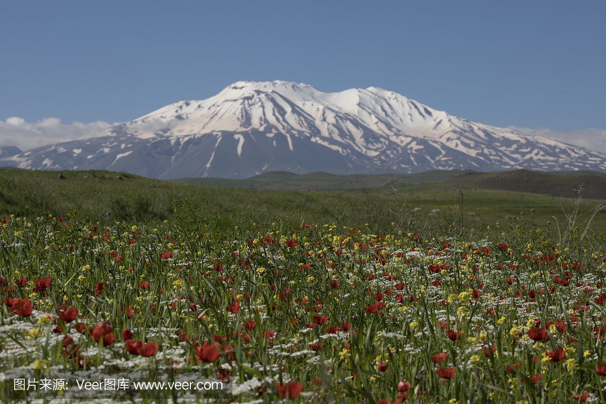 亚美尼亚,亚美尼亚共和国,前苏联加盟共和国,水