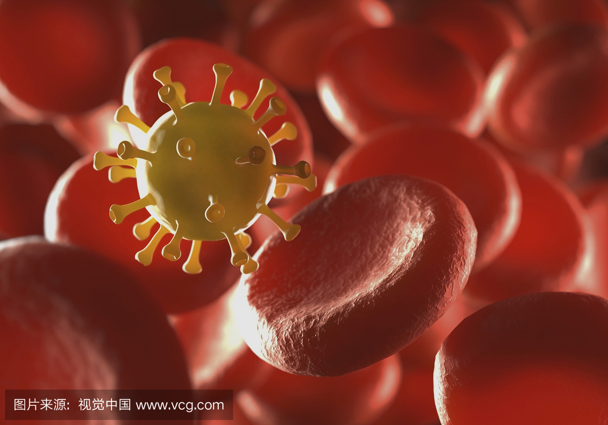 红细胞和病毒,插图