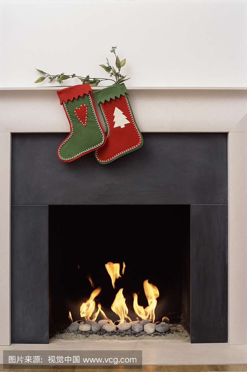 传统,榭寄生,调味品,住宅内部