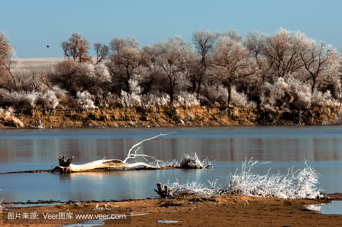 冬季,冬季,冬季,冬眠,一年中最冷的季节,12月至