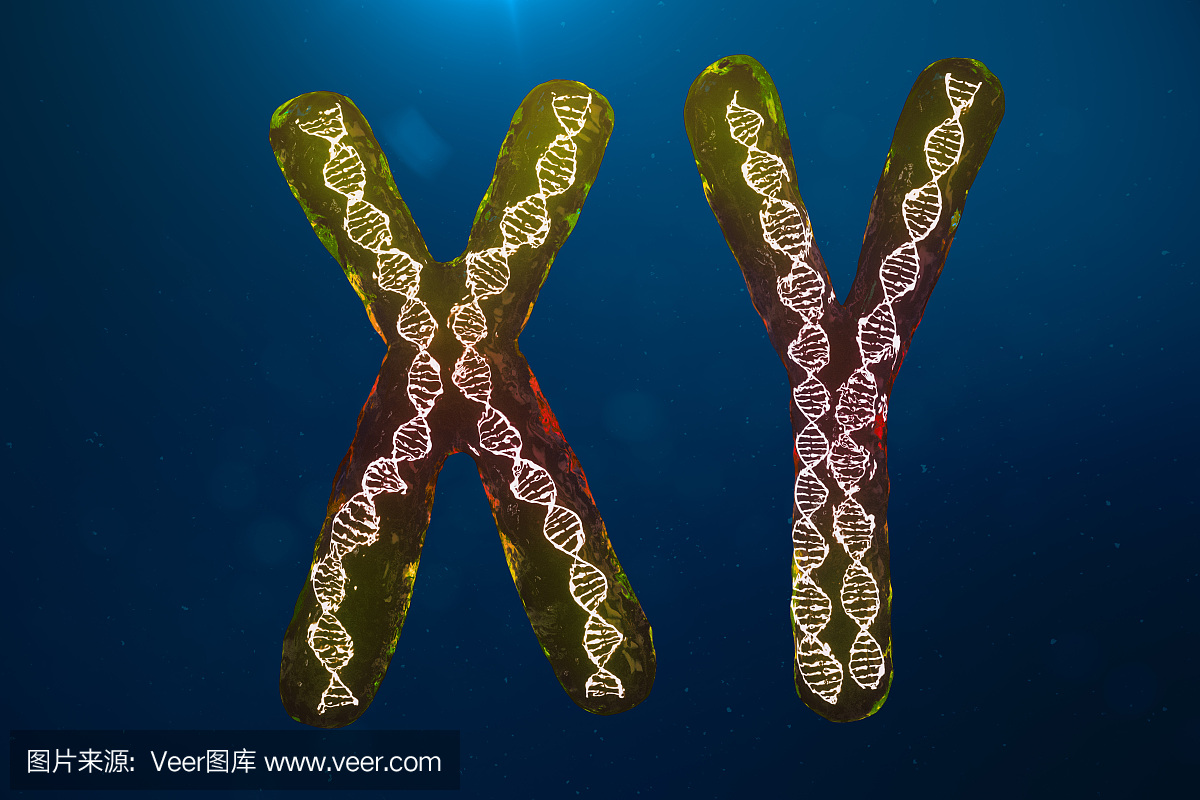 螺旋,显微镜,克隆,英文字母Y